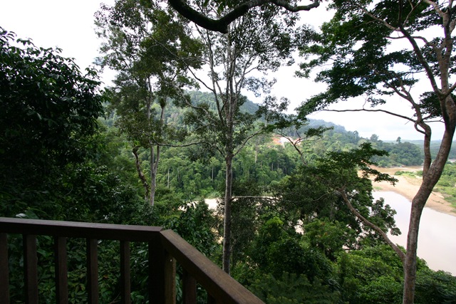 [03 Canopy Walk (135).jpg]