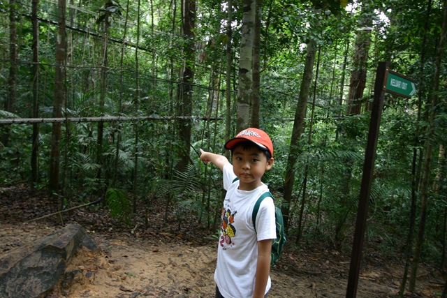 [03 Canopy Walk (160)[1].jpg]