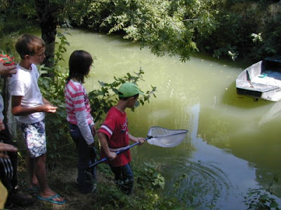 capture des petites bêtes du marais