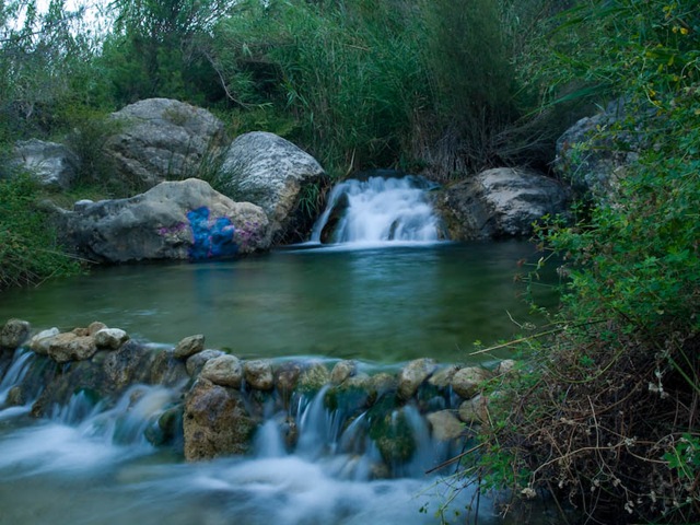 [Alharabe (5 of 12)[3].jpg]