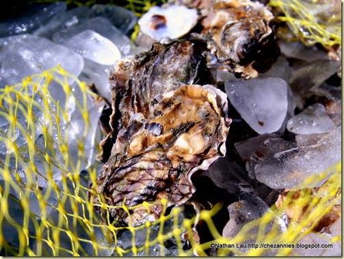 Fresh Oysters at Hog Island Oysters