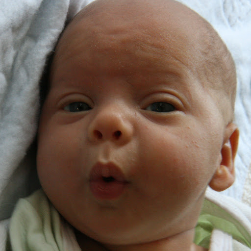 teo face