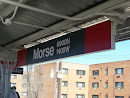 Morse CTA Red Line Station