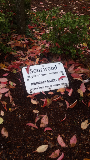 Sour Wood Sign
