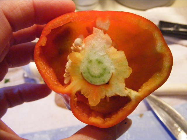 [Smiling Pepper[3].jpg]
