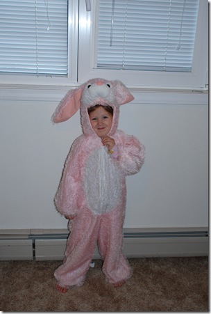 DSC_0026