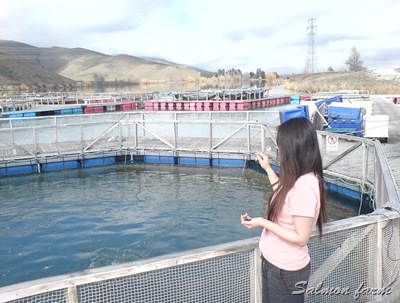 DSC04535