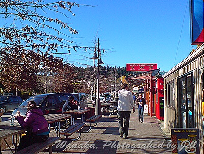 DSC04340