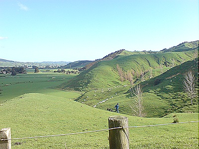 DSC04783