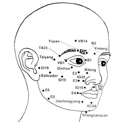 [anatomia facial-jpg[7].jpg]