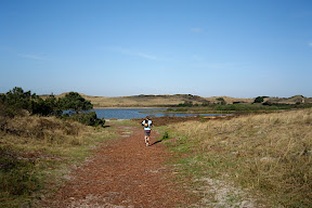 Vogelmeer - Parcours Ganzelveldwandeling (bleu, 10.5km) et Baaknolwandeling (jaune, 8.5 km) - Groet Schoorl Forêt et Dunes