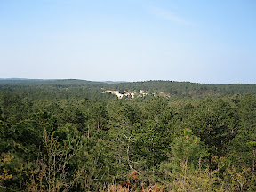 Point de vue sur Randweg - Parcours Duivelsboswandeling - Groet Schoorl Forêt et Dunes
