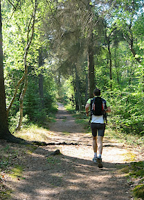 Parcours Ganzelveldwandeling (bleu, 10.5km) - Groet Schoorl Forêt et Dunes