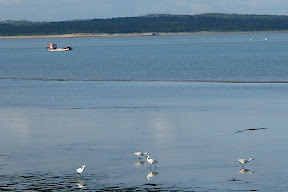 Pertuis, Saint Trojan, île d'Oléron