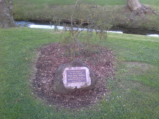 Sara-Jane Sadler Memorial Stone