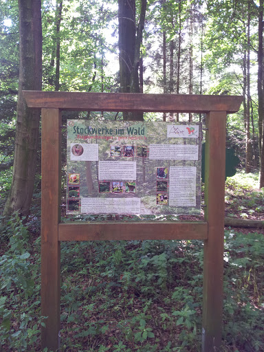 Lehrpfad Stockwerke im Wald