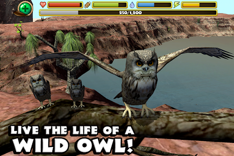   Owl Simulator- screenshot thumbnail   