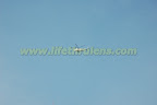 police copter