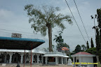 side view with the tree visible side view with the tree visible