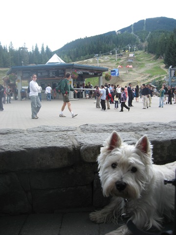 [2008 Whistler 003[4].jpg]