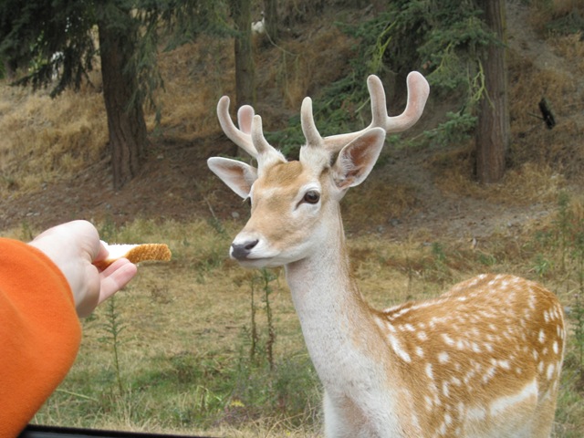 [Sequim 059[4].jpg]