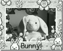 Bunny!e