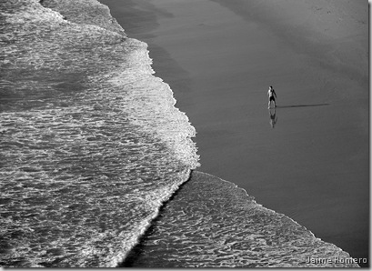 la cobardía es solitaria