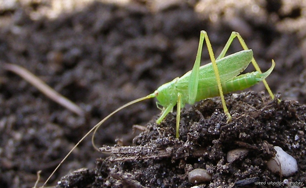 [P1010366ddd[4].jpg]