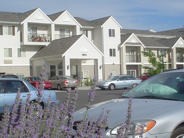 [DSC04017[2].jpg]