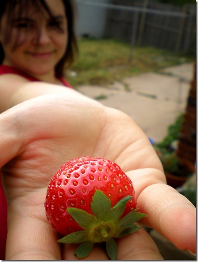 FirstStrawberry