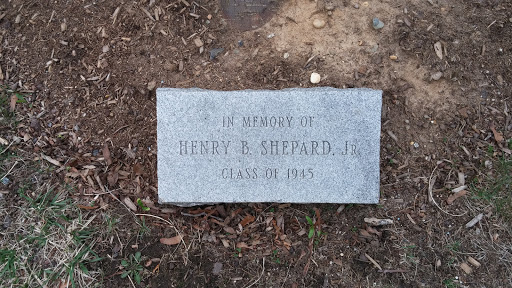 Henry B Shepard