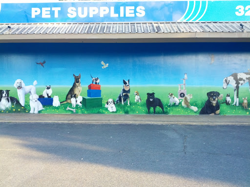 Cats and Dogs Mural