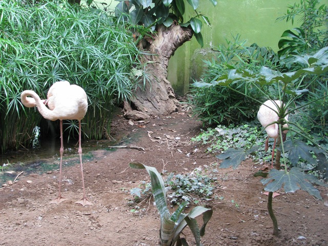 [2008.08.04_parquebiologicodegaia_0008[3].jpg]