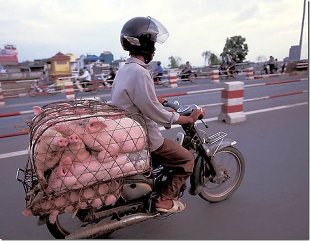 mota_transporte_03