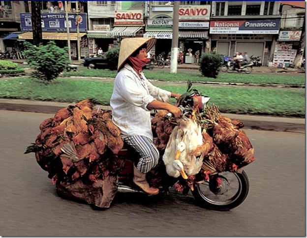mota_transporte_04
