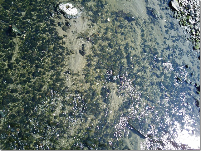 2008.09_riacho_05