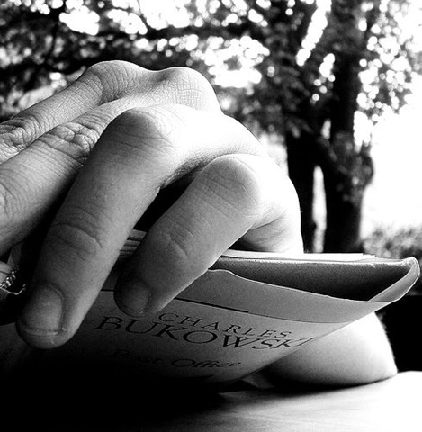 [29997360_df957bd33e[2].jpg]