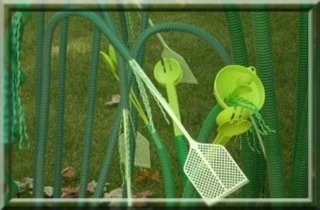 [Petite Ligne Verte[3].jpg]