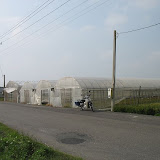 田間的暖棚