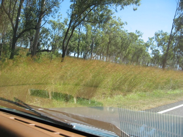 [ROCKHAMPTON0222.jpg]