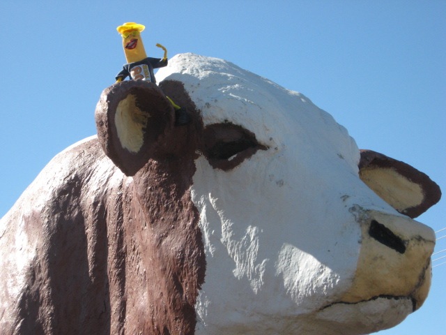 [ROCKHAMPTON0292.jpg]