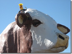 ROCKHAMPTON 029