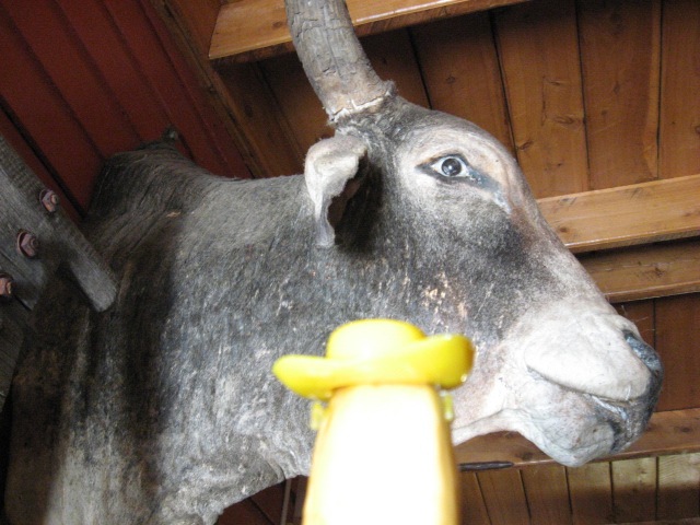 [ROCKHAMPTON0452.jpg]