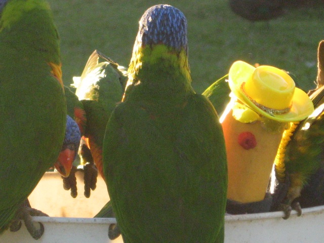 [MACKAY0742.jpg]