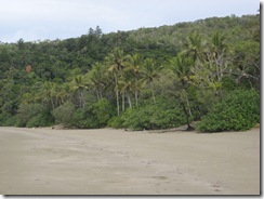 CAPE HILLSBOROUGH 009