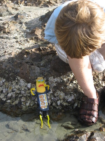 [CAPEHILLSBOROUGH0482.jpg]