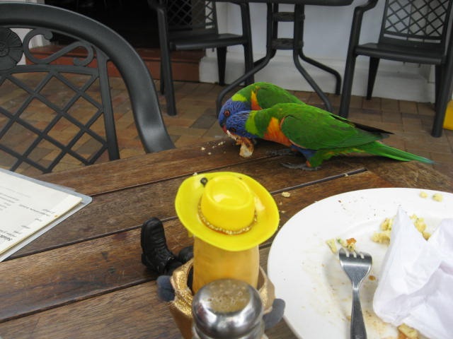 [AIRLIELUNCH0072.jpg]