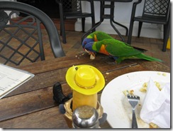 AIRLIE LUNCH 007
