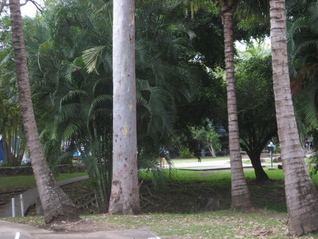 [ISLANDGATEWAY0162.jpg]