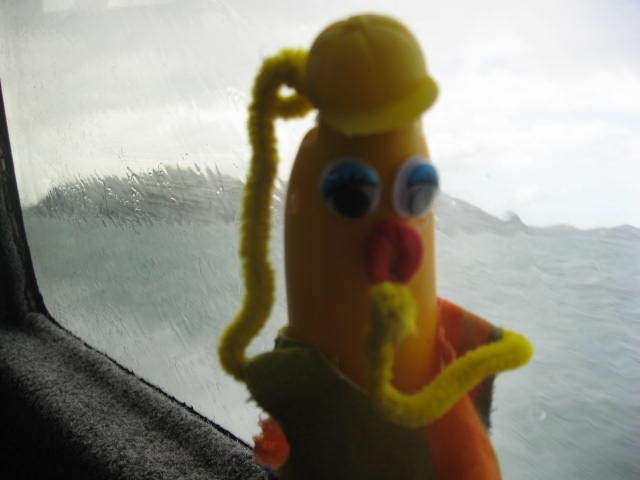 [VOYAGER0142.jpg]